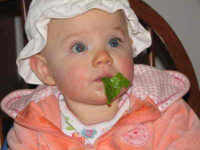 Rosey comiendo lechuga